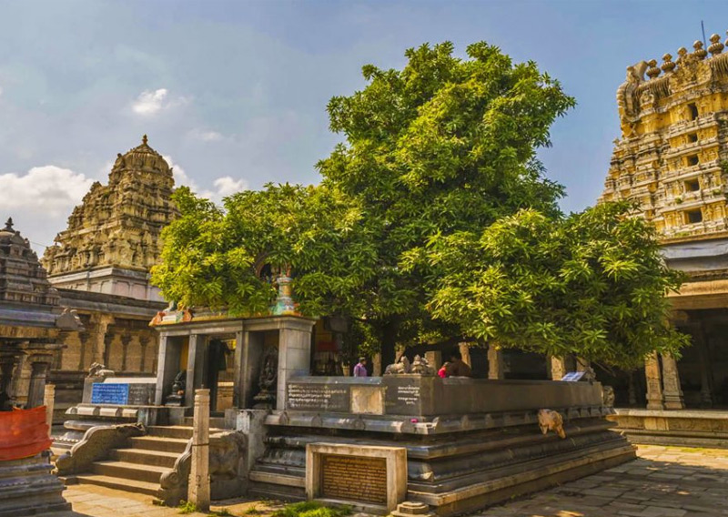 Avinashiappar Temple Avinashiappar Temple